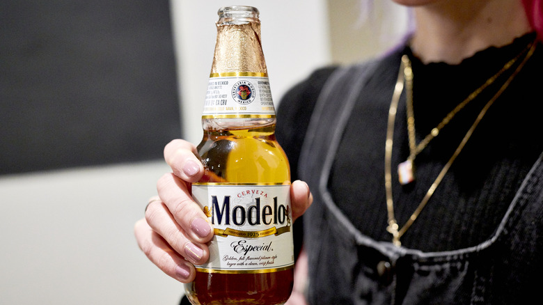 Person holding Modelo bottle