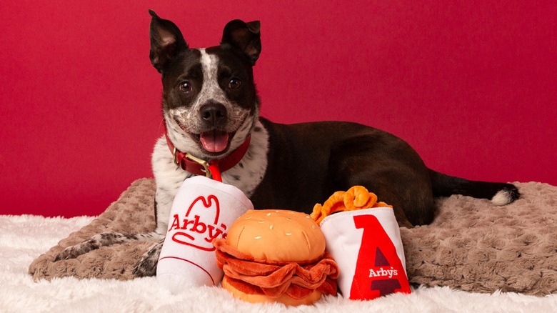 Arby's pet toys