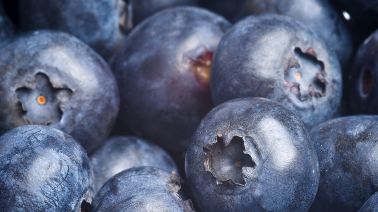 Extreme close-up of jumbo blueberries.