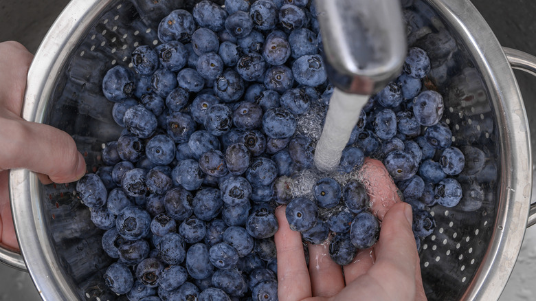 Blueberries being rinsed in a collander.