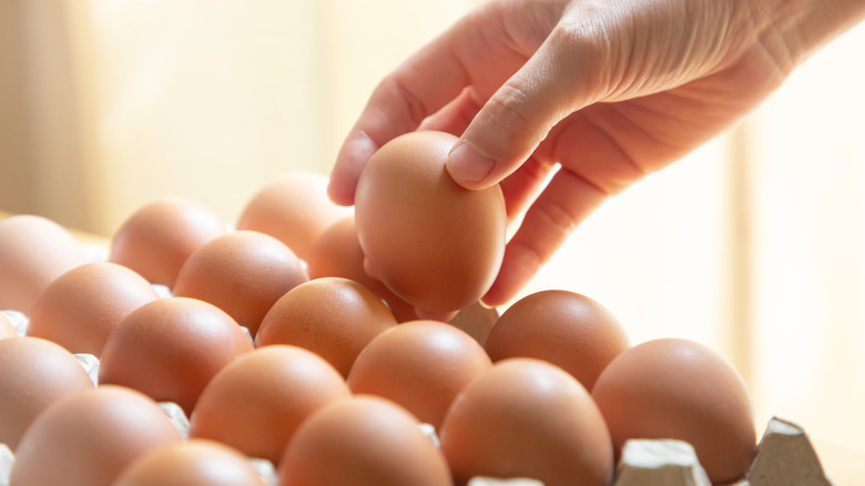 Brown whole eggs in a carton with a person's hand picking one up out of the carton