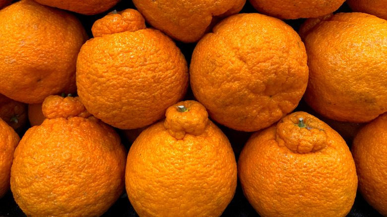 Sumo oranges