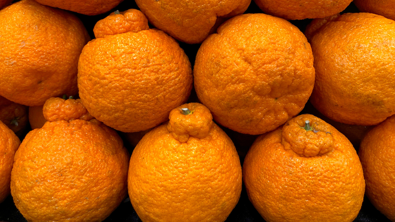 Are Sumo Oranges The Same Thing As Mandarin Oranges?