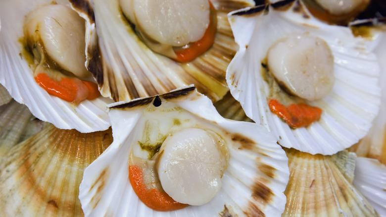 Scallops on the half shell