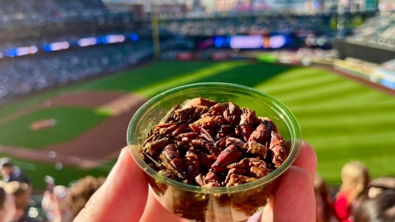At This MLB Ballpark, Bugs Are A Best Seller