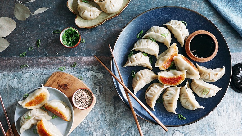 Fried Pork Gyoza on plate with chopsticks