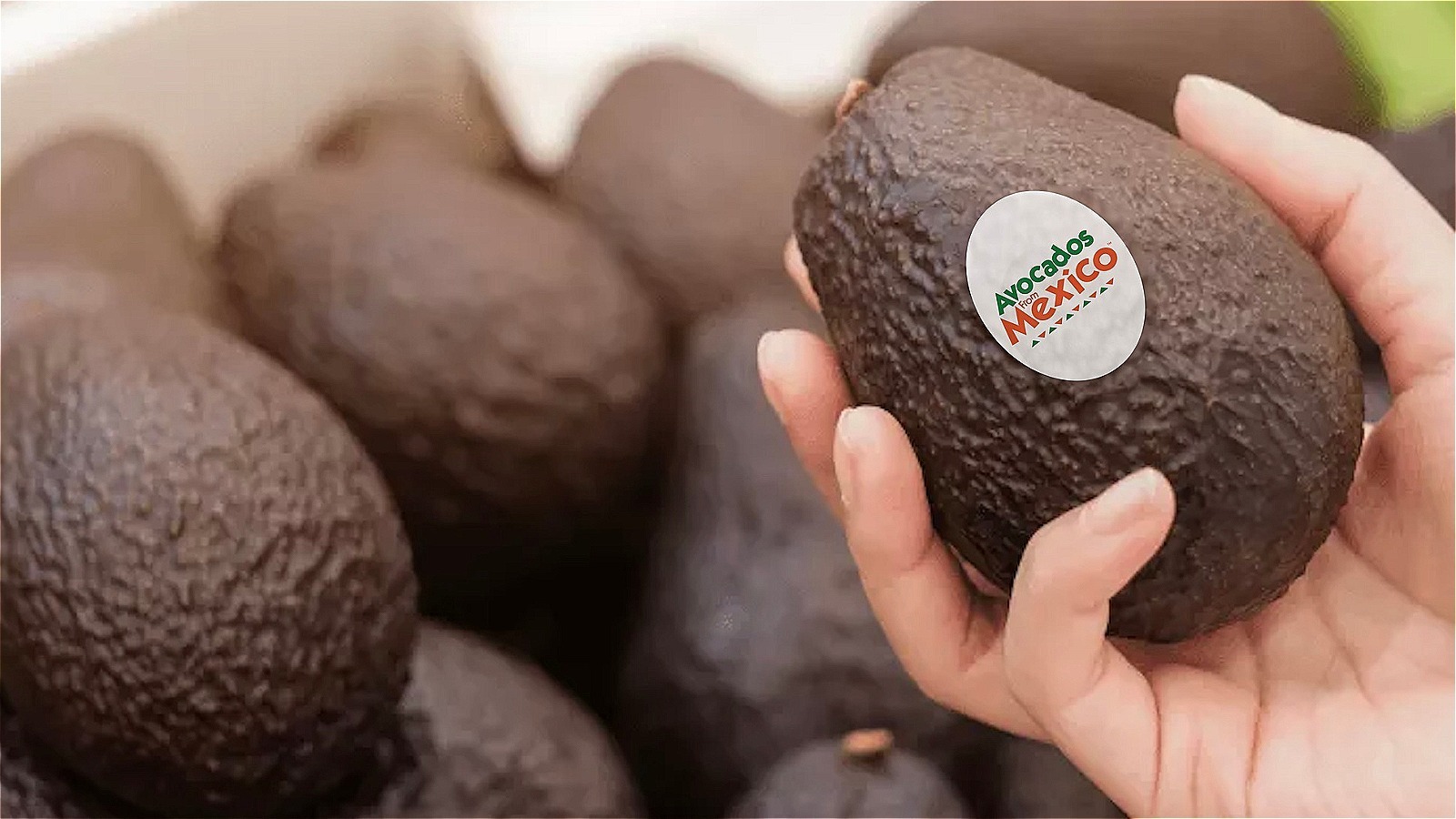 Avocados From Mexico Has An Epic Guac Giveaway For World Cup Fans