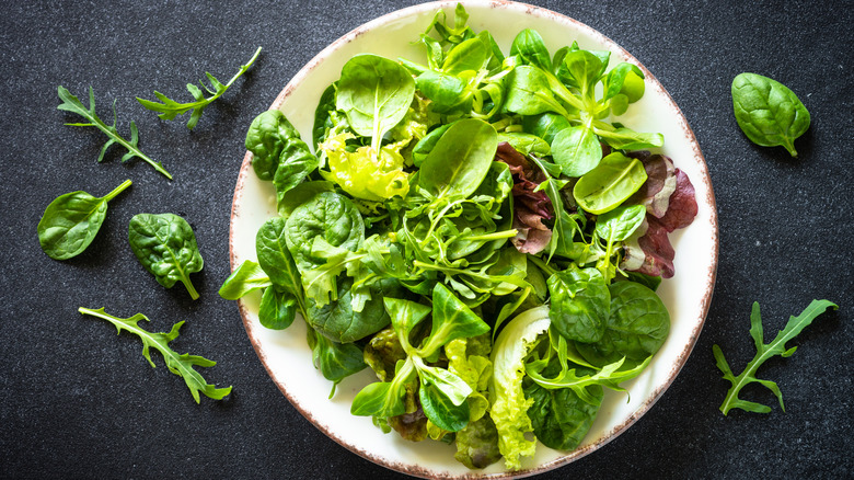 Green and red lettuce leaves along with spinach and arugula on a white plate on a black background