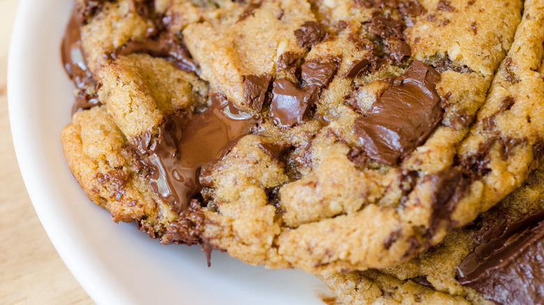 gooey chocolate chip cookie