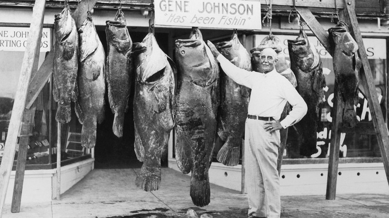 Gene Johnson posing with fished goliath groupers
