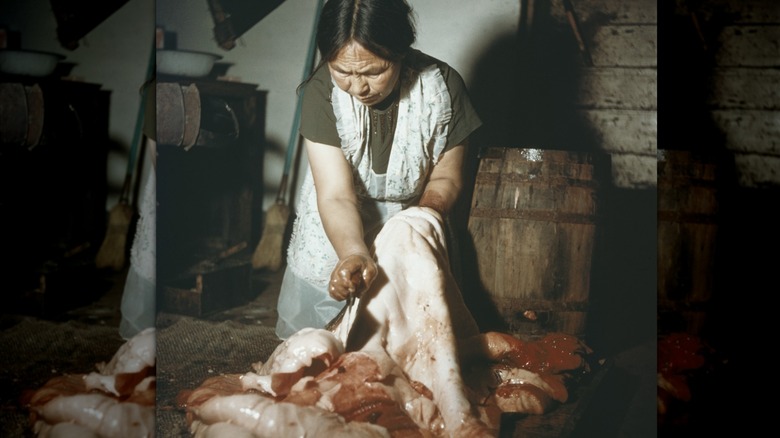 Indigenous woman trimming seal meat