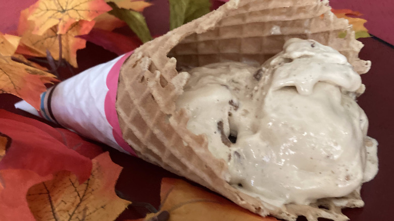 Apple Cider Donut in waffle cone