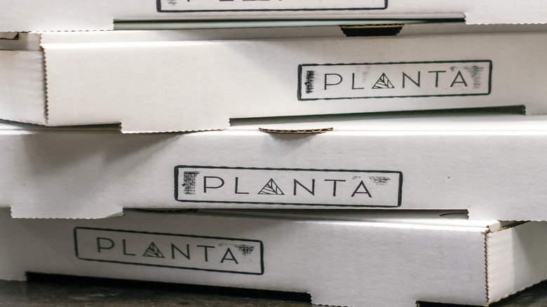 takeout planta boxes