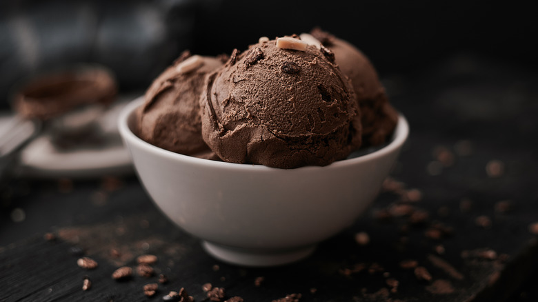 bowl of chocolate ice cream