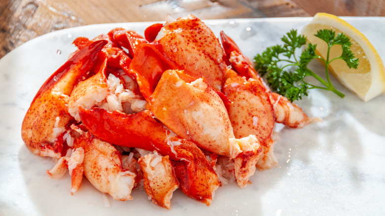 Chunks of lobster meat on white platter with lemon and parsley