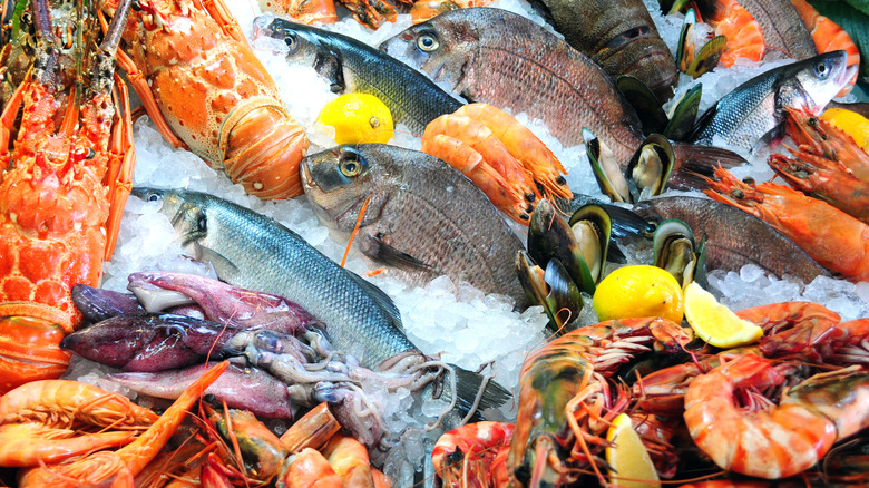 seafood displayed on ice 