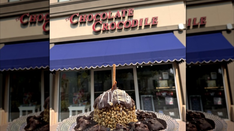 The Chocolate Crocodile storefront