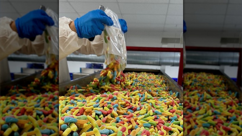 Gloved worker hands emptying colorful gummy worms onto conveyor