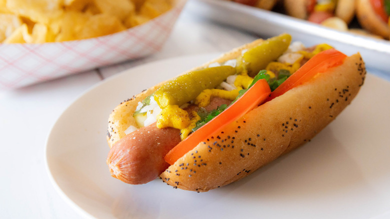 chicago hot dog on poppyseed bun with chips