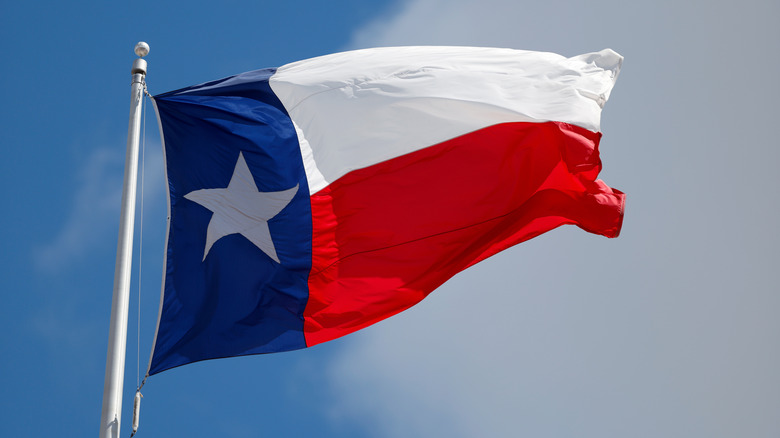 Texas flag fluttering in the wind