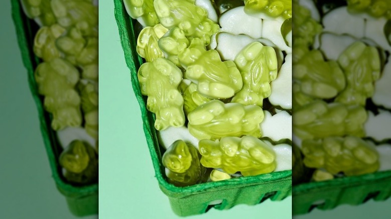 Squish Candies gummy Frogs