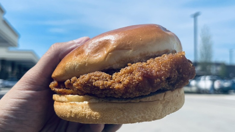 A Buc-Ee's fried chicken sandwich held up in front of the camera