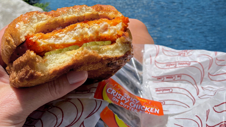 hand holding Stewart's spicy chicken sandwich by lake