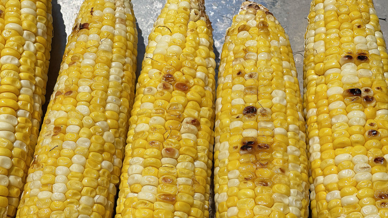finished grilled corn on the cob