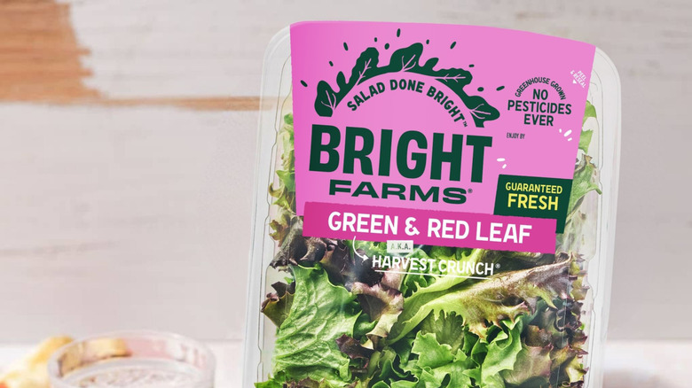 Brightfarms Harvest Crunch salad mix