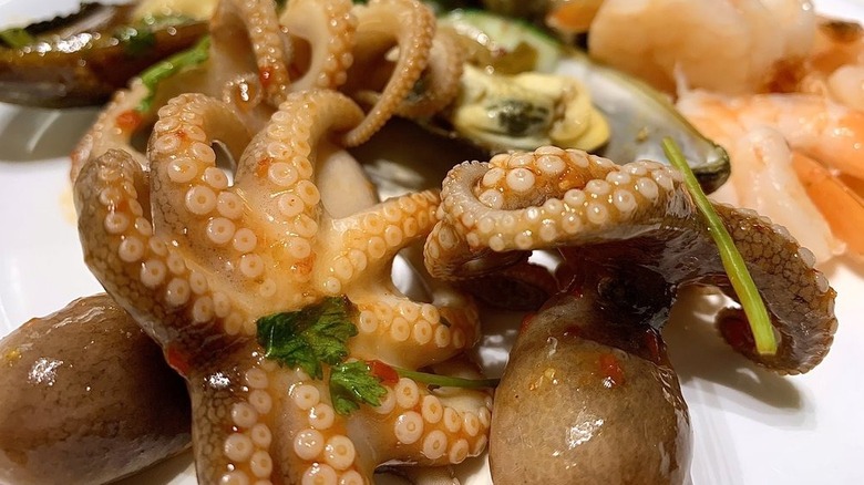 Cooked baby octopus on a plate