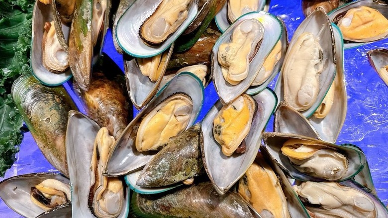 Greenshell mussels at Feast Buffet