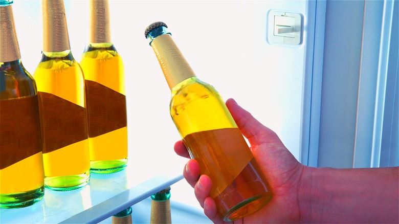A hand getting a bottle of crisp beer from the refrigerator, where other beer bottles are stored.