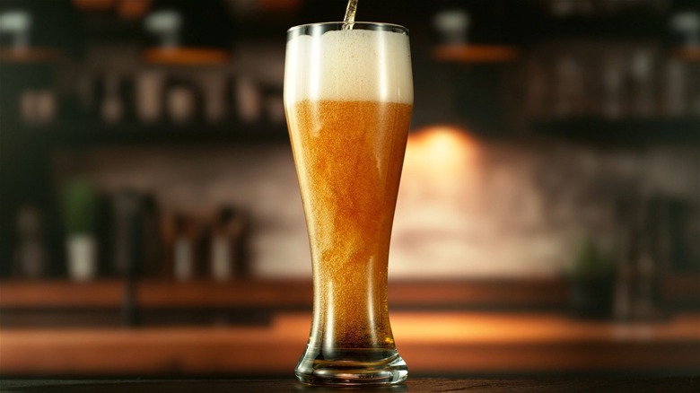 A beer being poured into a glass at a bar, with the lighting positioned to highlight its carbonation.