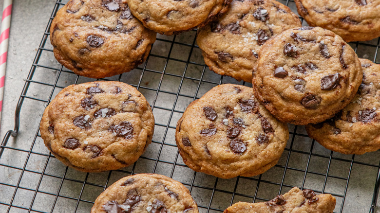 A tray of chocolate chip cookies