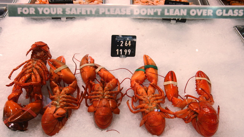 Lobsters on ice