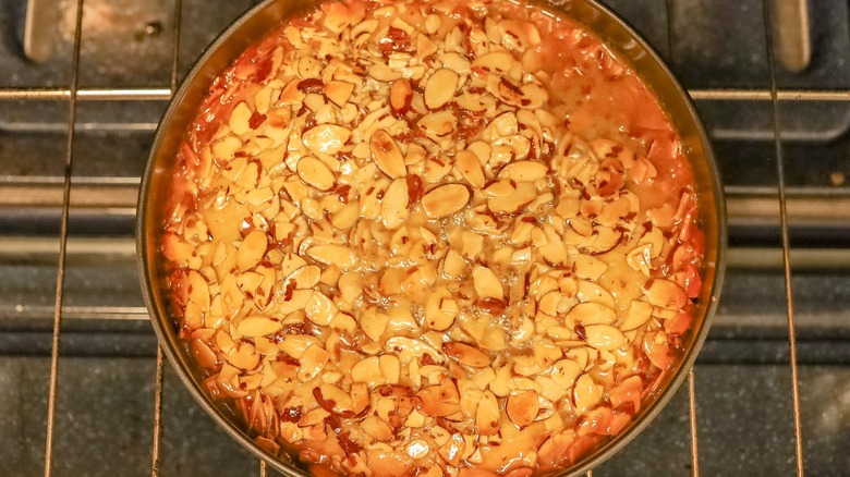 Almond topped cake on oven rack