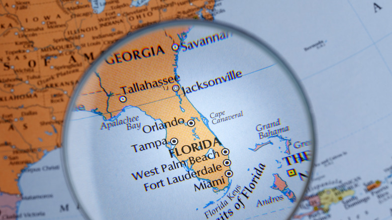 magnifying glass focuses on a map of Florida and Georgia