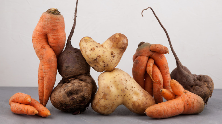 Ugly produce displayed on counter