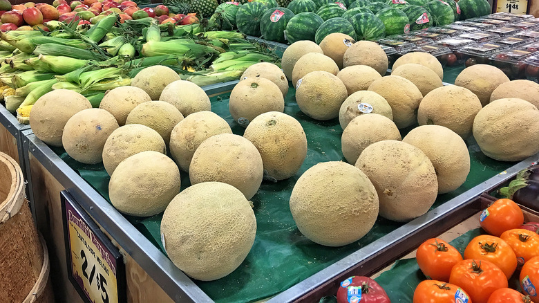 cantaloupe at grocery store