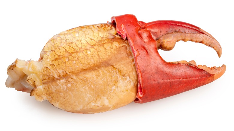 Crab meat in crab claw