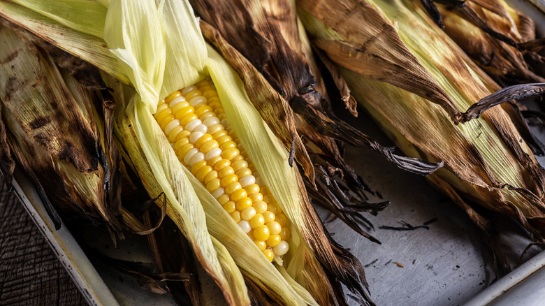 Grilled corn husks, one pulled open to reveal bright yellow corn.