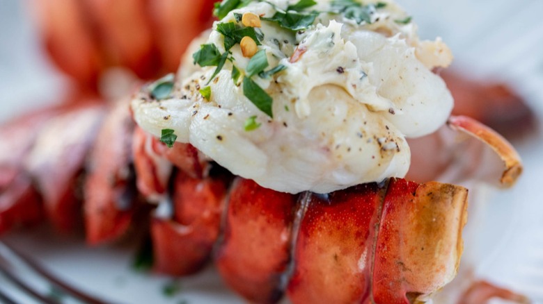 lobster tail with compound butter
