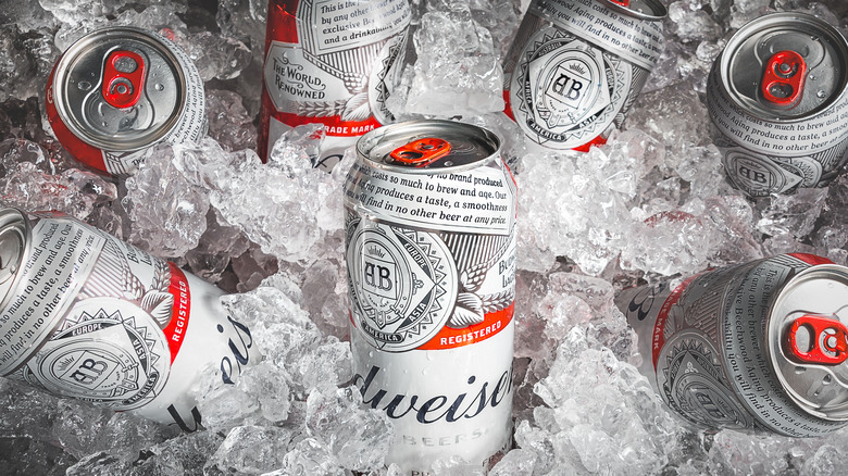 Budweiser cans in ice