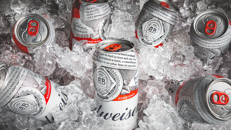 Budweiser cans in ice