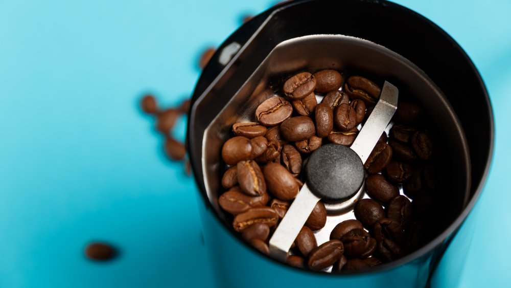 electric blade coffee grinder against a blue background