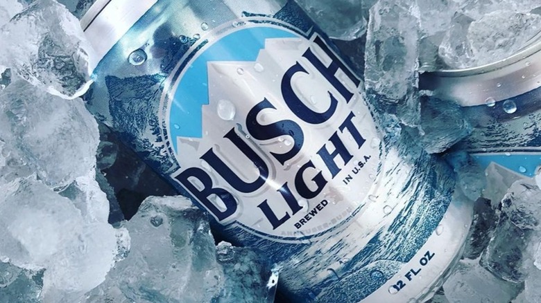 Busch Light