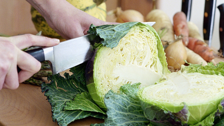 Woman slicing cabbage