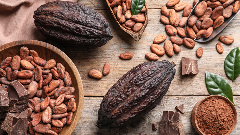 Cacao pods, beans, and chocolate on wooden surface