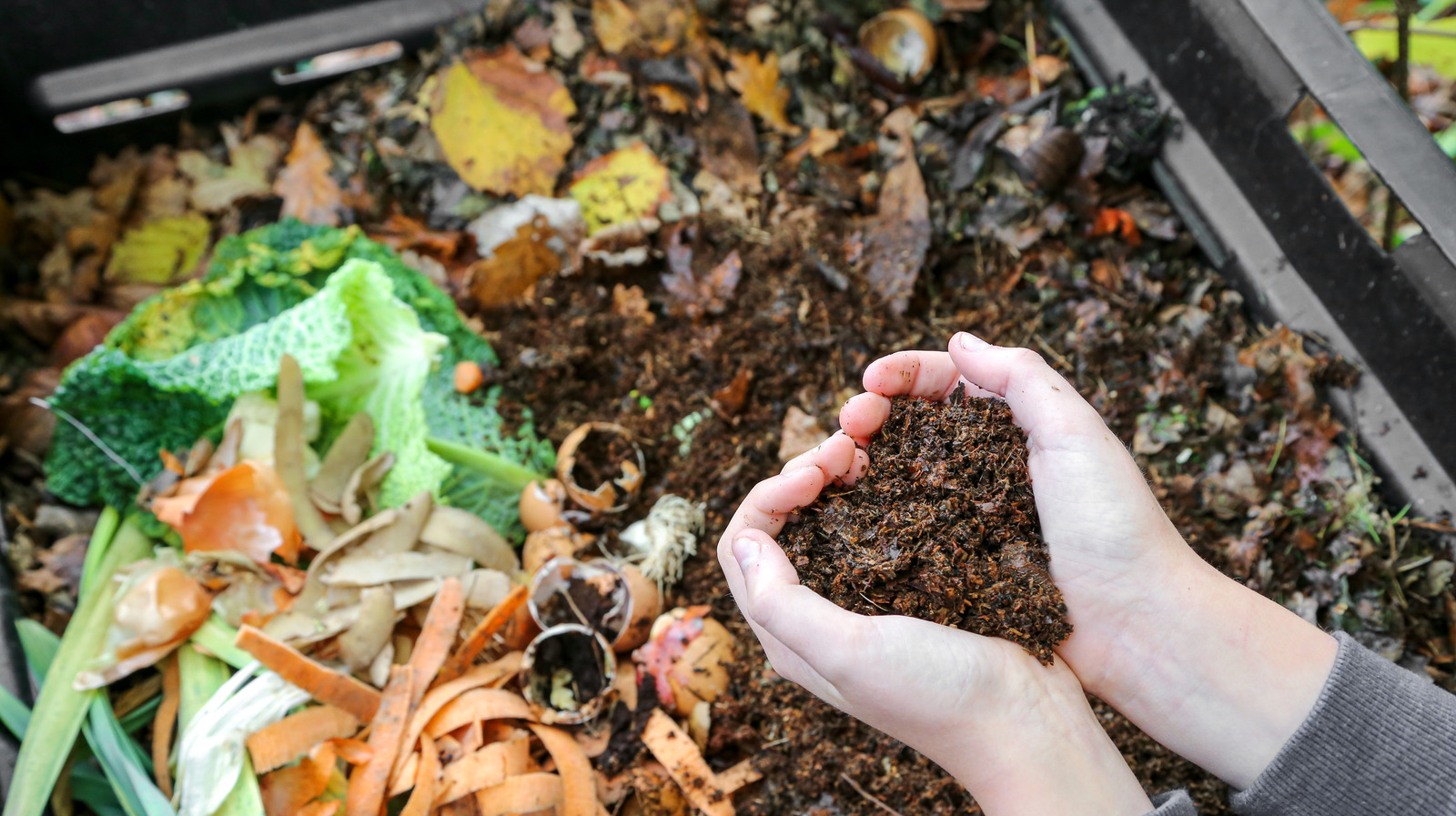 Can You Compost In An Apartment?