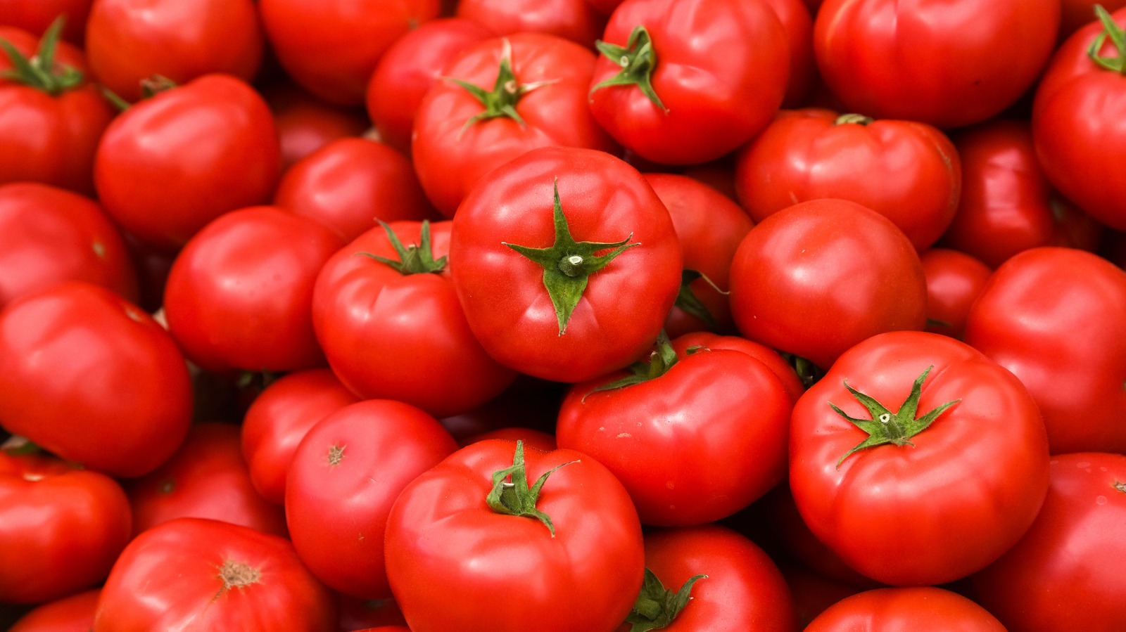 Can You Cook Tomatoes In A Cast Iron Skillet?